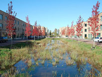 geerlings-landschapsarchitect-tuinen-van-genta-breda-ontwerp-openbare-ruimte-stedenbouwkundig-plan